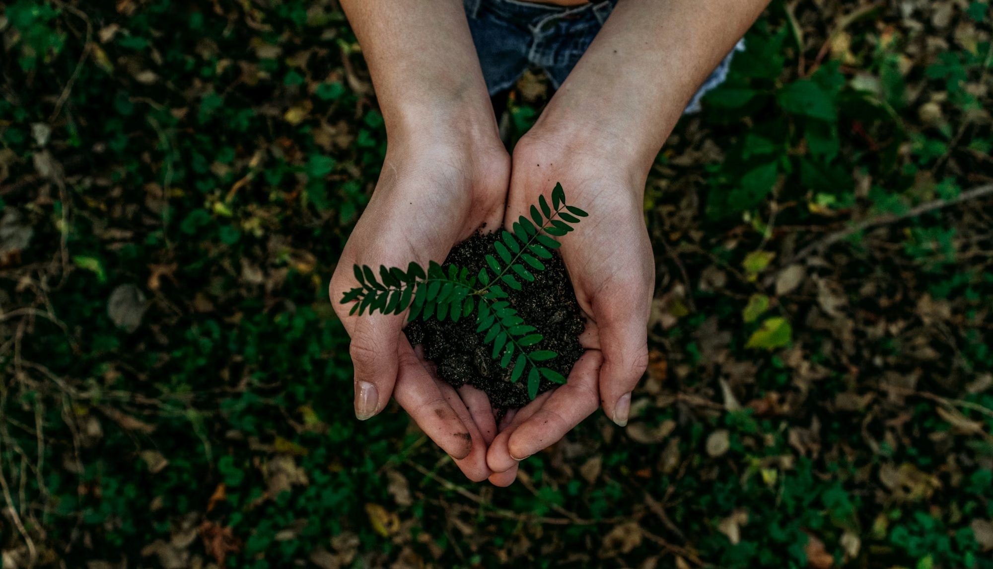 Sustentabilidade Corporativa